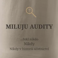 Miluju audity řekl nikdo nikdy