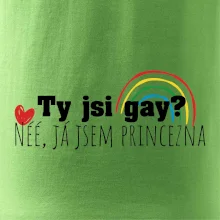 Gay princezna
