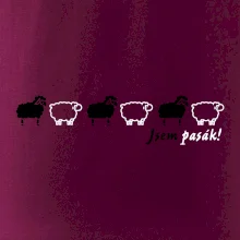 Jsem pasák - ovce v řadě