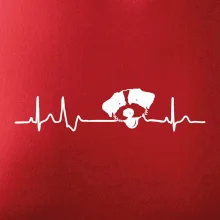 Jack Russell Terriér hrubosrstý Ekg