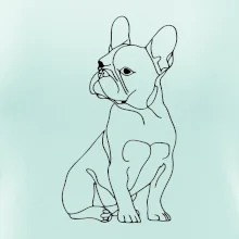 Francouzský buldoček černá kresba