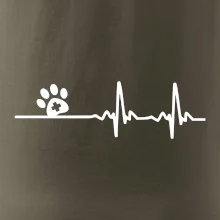 Veterinář EKG