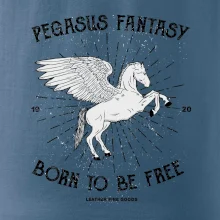 Pegasus fantasy Pegasus fantasy