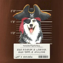 Lump a darebák husky