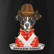 Napoleon domácí pes kříženec