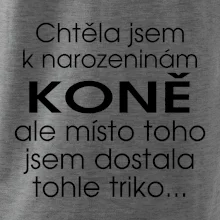 Chtěla jsem dostat k narozeninám koně