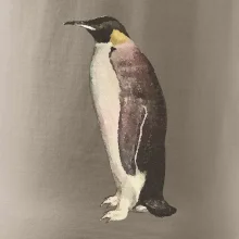 Tučňák kreslený vodovými barvami