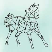 Geometrie - kůň jednobarevná