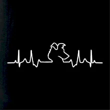 Border kolie EKG