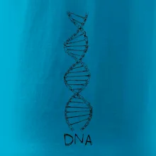Cyklistovo DNA