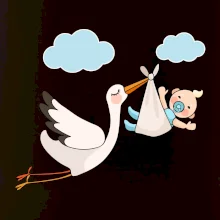 Čáp čekáme miminko - kluk