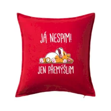 Já nespím, jen přemýšlím