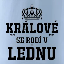 Králové se rodí v lednu