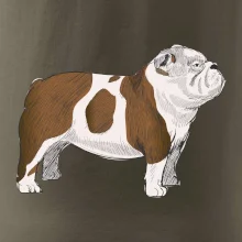 Vintage English bulldog