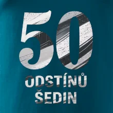 50 ODSTÍNŮ ŠEDIN