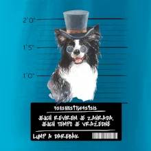 Lump a darebák border kolie