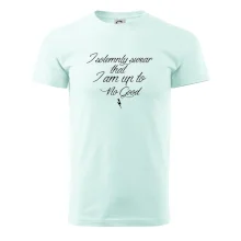 I solemnly swear that I'm up to no good