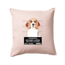 Lump a darebák bígl