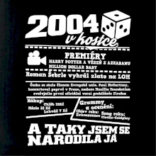 2004 v kostce