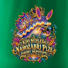 Král makra nahožábří plž s fotoaparátem