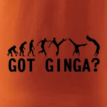 Capoeira - Got Ginga