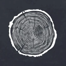 Letokruhy 70 bez věku