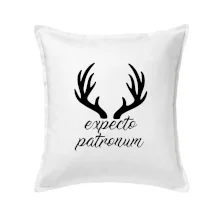 Harry - Expecto patronum