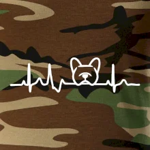 EKG Francouzský buldoček hlava