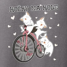 Kočky na kole
