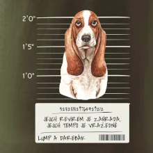 Baset - lump a darebák Baset - lump a darebák