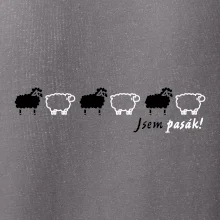 Jsem pasák - ovce v řadě