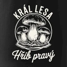 Král lesa hřib pravý