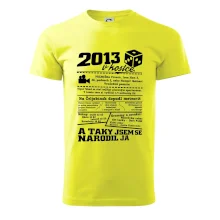 2013 v kostce