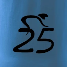 Cyklista slaví pětadvacítku (25)