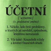 Účetní definice s humorem
