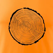 Letokruhy 40 bez věku