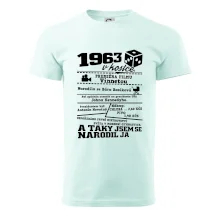 1963 v kostce