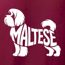 Maltézský psík nápis v těle