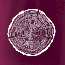 Letokruhy 55 bez věku