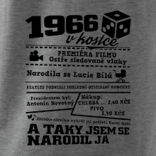 1966 v kostce