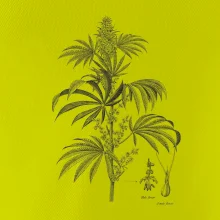 Konopí kytka černobílá