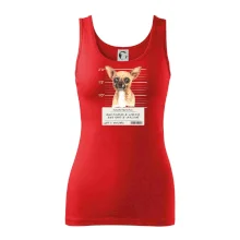 Lump a darebák čivava