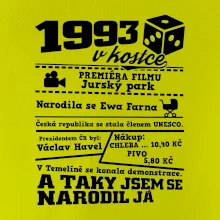 1993 v kostce