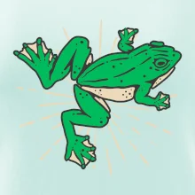 Žába zelená kreslená