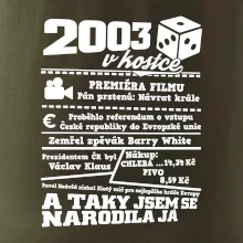 2003 v kostce