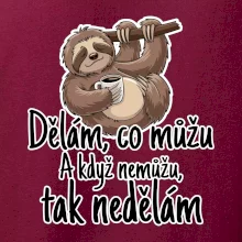 Dělám, co můžu. A když nemůžu, tak nedělám.