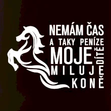 Nemám čas a taky peníze - Kůň