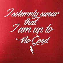 I solemnly swear that I'm up to no good