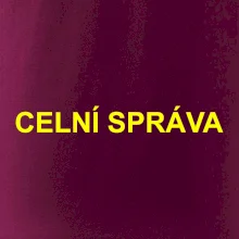 Celní správa