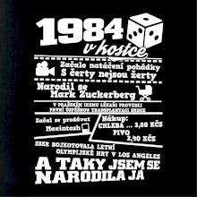 1984 v kostce